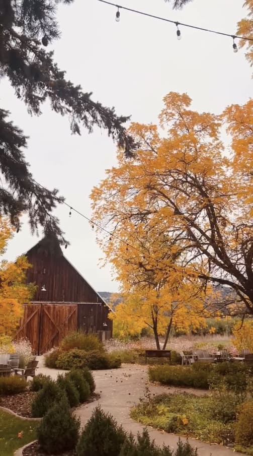 ToneProper - Tin Roof Barn