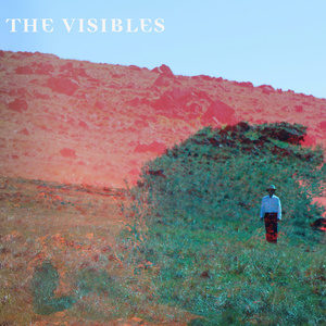 The Visibles